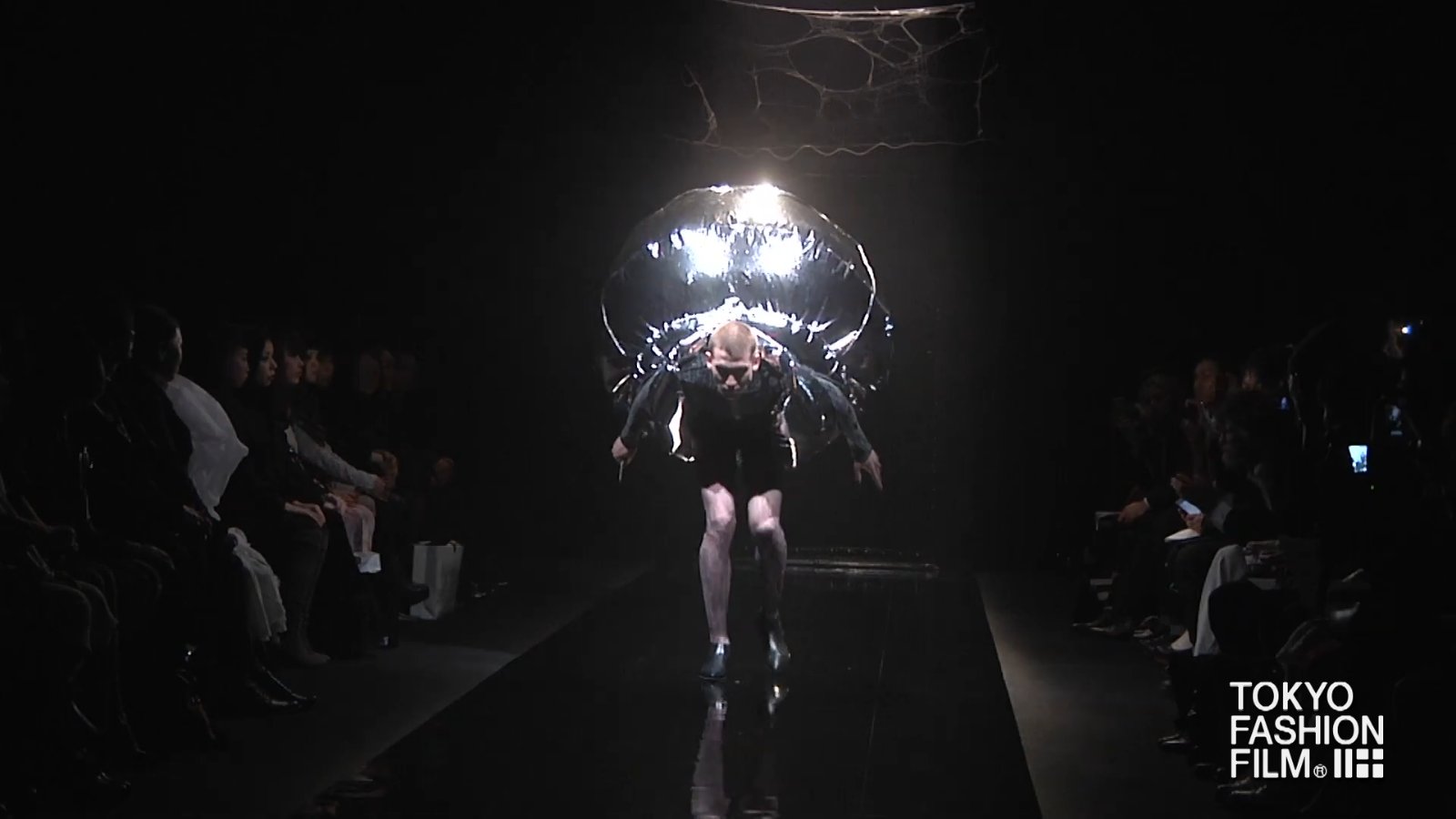 alice auaa Fall/Winter 2013