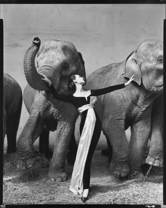 Richard Avedon's 1955 photograph 'Dovima with Elephants' was shot on assignment for Harper's Bazaar at a circus in Paris. What Parisian fashion house's gown was Dovima wearing in the image?
