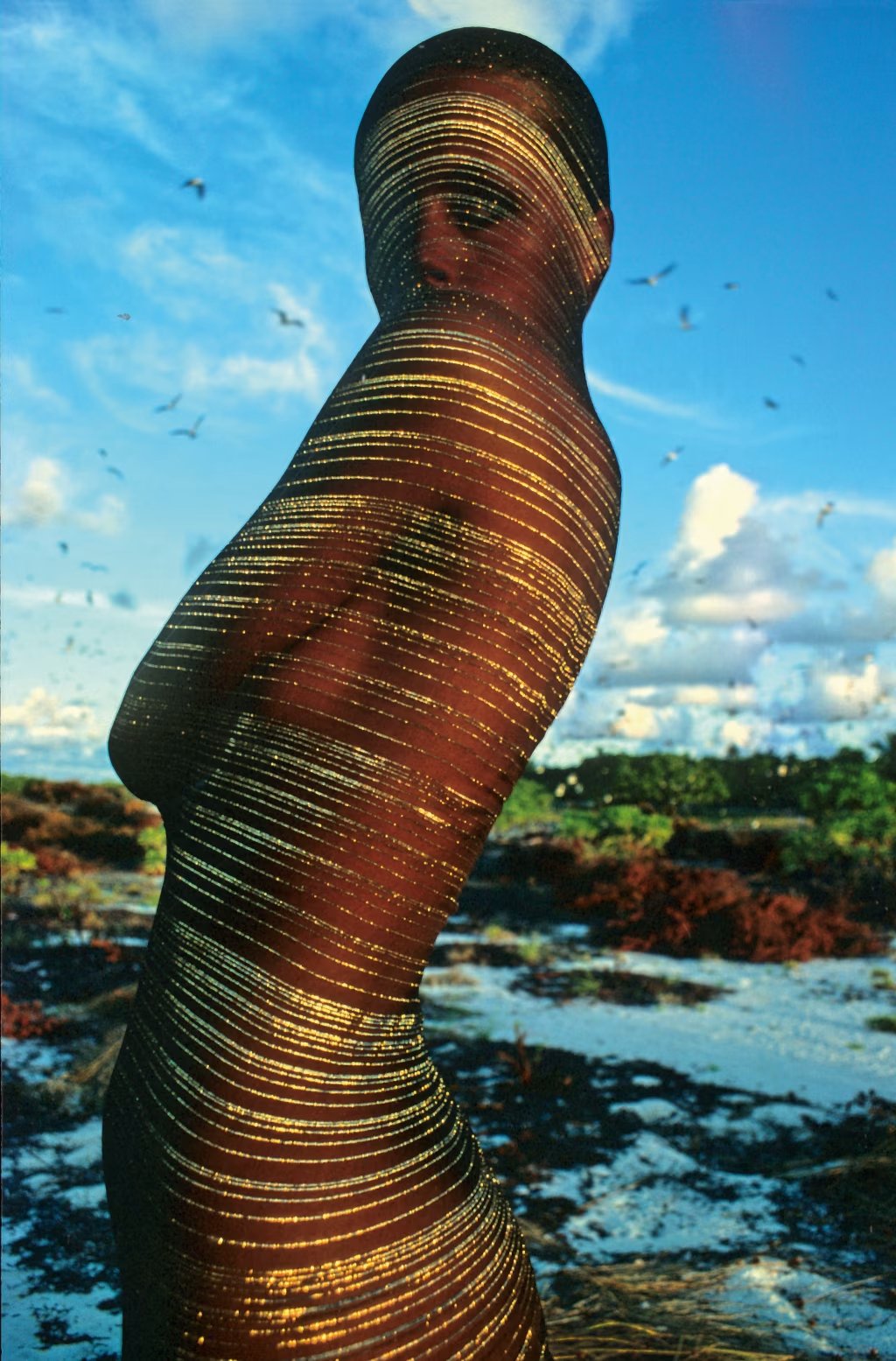 Which photographer took this image?